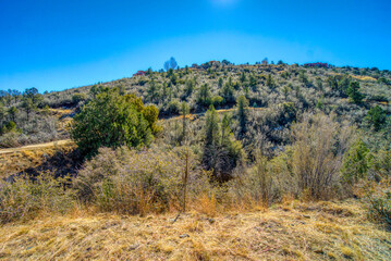 Sticker - Prescott Arizona landscape