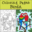 Coloring page with example. A pair of cute parrots red macaw sits and smiles.