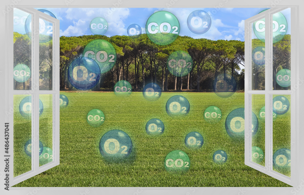 Grass absorbs carbon dioxide the same way trees do, but on a smaller scale - concept with a grassy area that absorbs CO2 carbon dioxide molecules and releases O2 oxygen molecules seen through a window