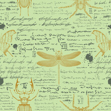 Vector Image Of A Seamless Textured Background For Printing On Fabric And Paper In The Style Of Notes From An Entomologist's Diary With Sketches, Formulas And Notes And Sketches Of Insects Text Lorem 