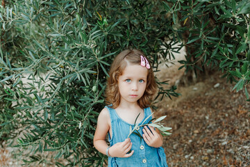 Pretty little blue-eyed girl in an olive grove.