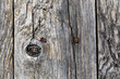 Old wood with rust nails