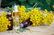 essential oil of immortelle on a wooden background. Herbs