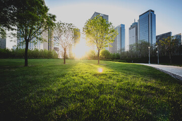 park in lujiazui financial center, Shanghai, China