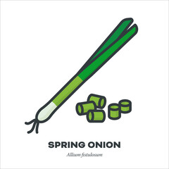 Wall Mural - Spring onion icon, filled outline style vector illustration