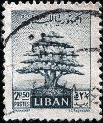 Cedar of Lebanon on vintage postage stamp