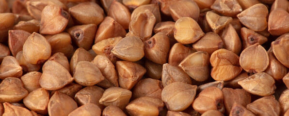 Wall Mural - Close-up of buckwheat groats as background.