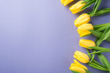 Fototapeta Tulipany - Top view photo of woman's day composition yellow tulips on isolated pastel lilac background with blank space