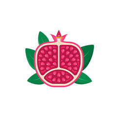 Wall Mural - Pomegranate vector icon isolated on white background. Cut Pomegranate flat symbol