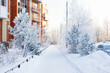 Snowbound pedestrian road with snow-covered fir trees and brick residential building, sunny winter day