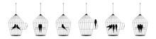 Bird Cage Illustration With Birds Silhouettes Isolated On White Background, Vector. Set Of Birds Cage, Art Design