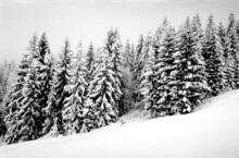 Winter Landscape On A Snowy Mountain