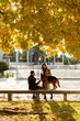 © Mauro Grigollo/Stocksy - Couple with dog in the fall season