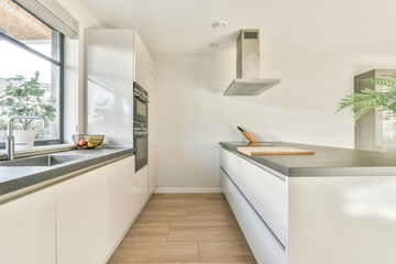 Wall Mural - Kitchen in a new luxury home, hardwood floors, dark cabinets