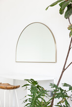 Arch Mirror And Plant In Studio Home 