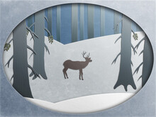 Winter Forest Scene With Deer