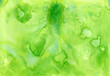 © Liliya Rodnikova/Stocksy - Watercolor green background