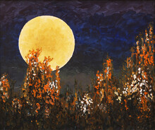 A Surreal-looking Nightime Landscape; Moon And Flowers