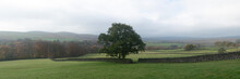 Whargedale Fields Autumn Yorkshire Dales