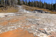 Acidic soil around Turban Geyser as it erupts, Yellowstone National Park, Wyoming