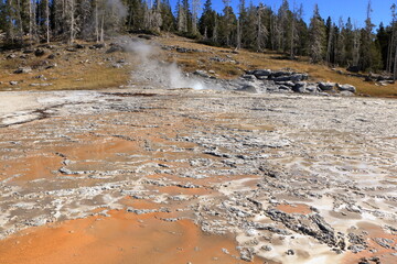 Wall Mural - Acidic soil around Turban Geyser as it erupts, Yellowstone National Park, Wyoming