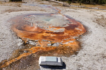 Wall Mural - Tardy Geyser, Yellowstone National Park, Wyoming