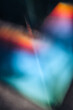 © Lea Csontos/Stocksy - Colorful light patches