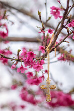 Gold Crucifix Pendant With Diamonds Paired With Gold Necklace Hanging On A Pink Cherry Tree Is Crucifix That Is Hung To Represent God To Pray For God's Blessings. Crucifix Represents Belief And Power