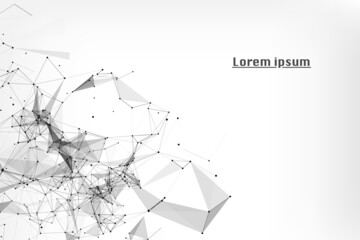Leinwandbilder - Plexus Geometric Digital Array Visualization Lines Dots Spider Web Structure Connection Vector Background. Black White Minimal Blank Area Information Illustration.