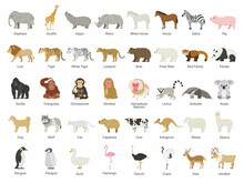 たくさんの種類の動物のイラストセット