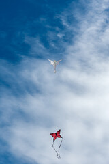 Wall Mural - colorful kites flying over the sky