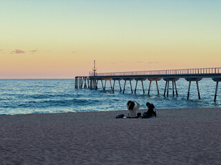 Sticker - A back view of a young couple sitting on a sandy beach during the sunset