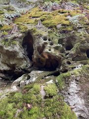 Wall Mural - A vertical shot of stones of a ruined castle covered with moss in the forest