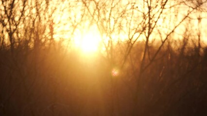 Wall Mural - beautiful unsual sunny sunset natural 4k stock video background. bright orange sunset sun shining br