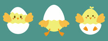 A Set Of Three Cute Chickens In An Eggshell. Easter Design. Vector Illustration.