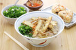 burdock tempura udon noodles soup, japanese fukuoka food