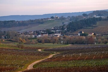 Poster - Village viticole de Mercurey en Bourgogne