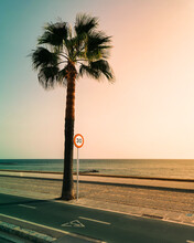 Cadiz, Andalusia. Spanish Summer Vibe At Beach With Palms In Front Of Atlantic Ocean. Speed Limit Sign Next To Cicycle Path. Malibu Or Floria Style. With Copyspace.