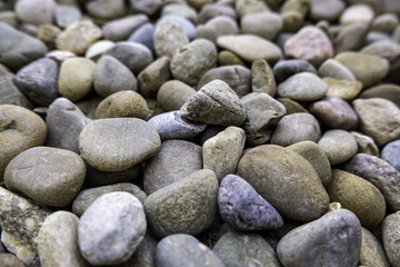 Wall Mural - Pebble stones detail