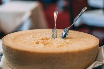 Canvas Print - A closeup of a delicious cheese piece