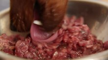 The Dog Eats Meat From A Plate. Macro. A Pet Is Eating Natural Food.