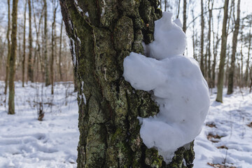 Sticker - Funny snowman on a tree in Kampinos National Park in Masovian Voivodeship of Poland