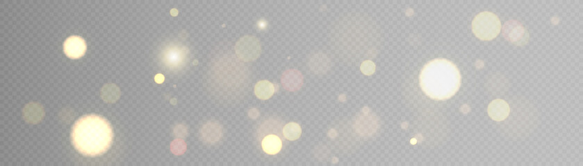 Leinwandbilder - Light effect with lots of glittery glare particles shining on a transparent background.