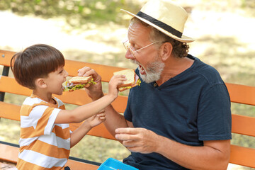 Poster - Little boy and his grandfather eating sandwiches on bench in park