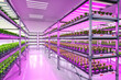 © phonlamaiphoto - indoor farm system raised plants on shelves growth with led light