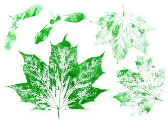 Wall Mural - Set Acrylic green leaves stamp. Different foliage strokes. Hand drawn floral mark elements.