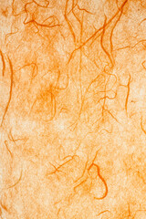 Wall Mural - Orange mulberry paper.