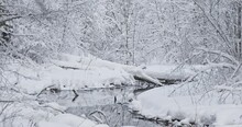 The Winter Landscape Of A Small Creek And Trees Are Covered With Fluffy Snow In The Background. 4k Resolution Footage With Zoom Out.