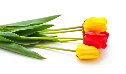 Sticker - Bouquet of yellow and red tulips.