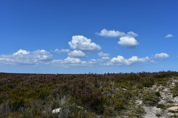 naturaleza salvaje,montañas y mar